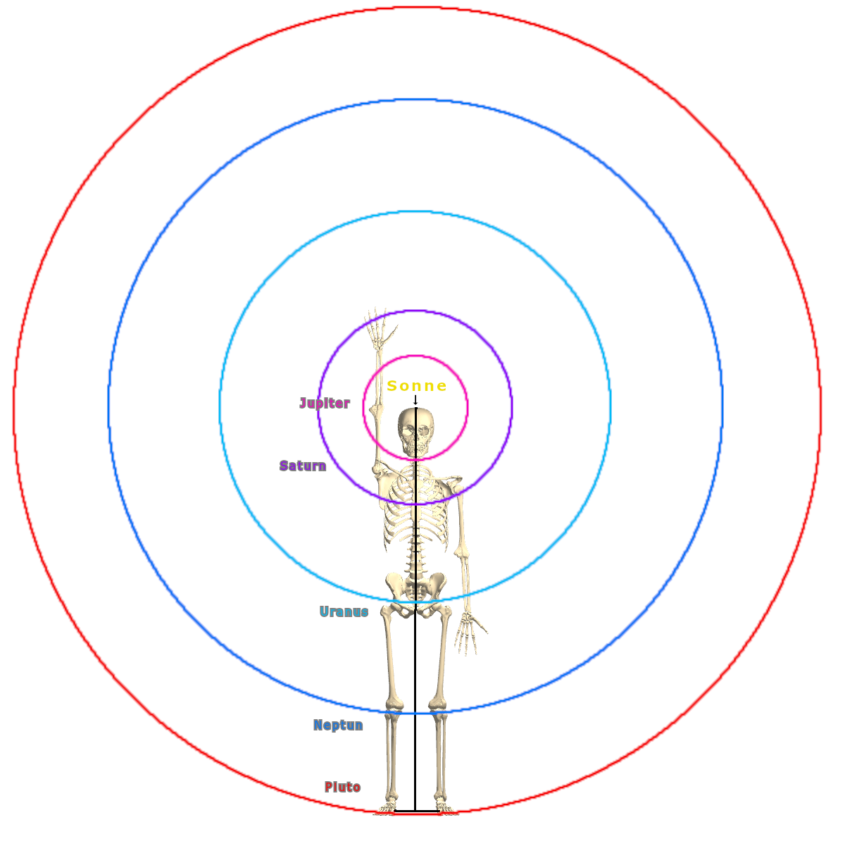 Skelett liegend im Planetensystem mit Jupiter bis Pluto